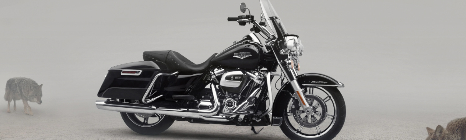 2022 Harley-Davidson® for sale in Rattlesnake Mountain Harley-Davidson®, Kennewick, Washington